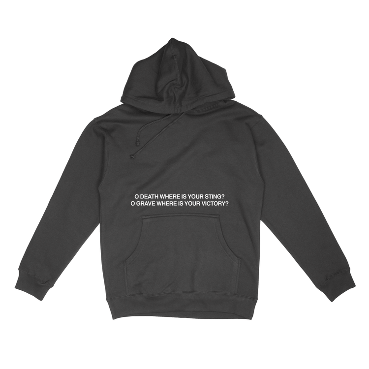 Where Is Your Sting Hoodie - 