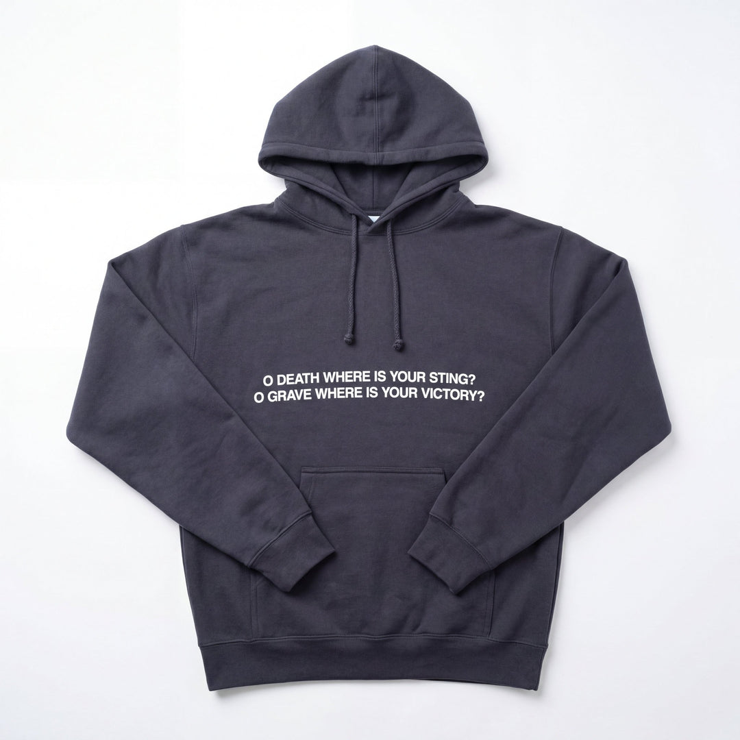 Where Is Your Sting Hoodie - 